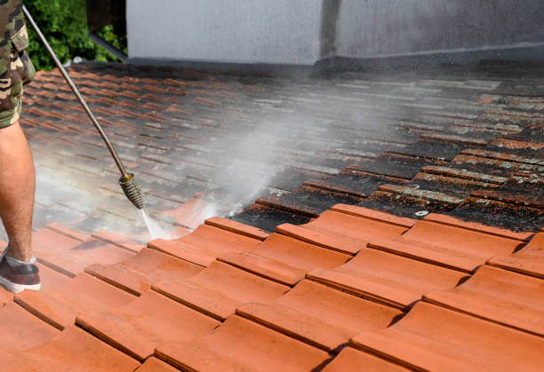 Best Residential Pressure Washing Services  in Vanceburg, KY