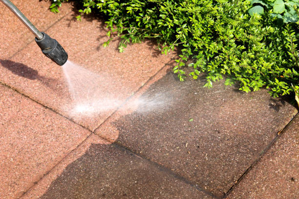 Best Roof Pressure Washing  in Vanceburg, KY